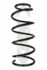 SPIDAN 55188 Coil Spring